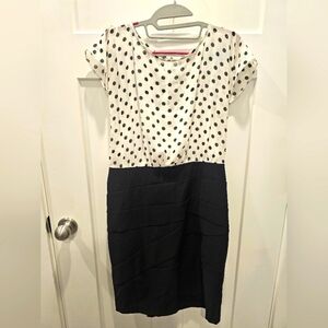 ALYX Limited Polka Dot Bodice Black Sheath Dress Size 10
